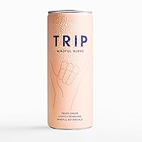 Vista 8 de Trip Mindful Blend, seltzer de adaptógeno ligeramente brillante, sin alcohol con citrato de magnesio de 120 mg con ashwagandha, melena de león y L