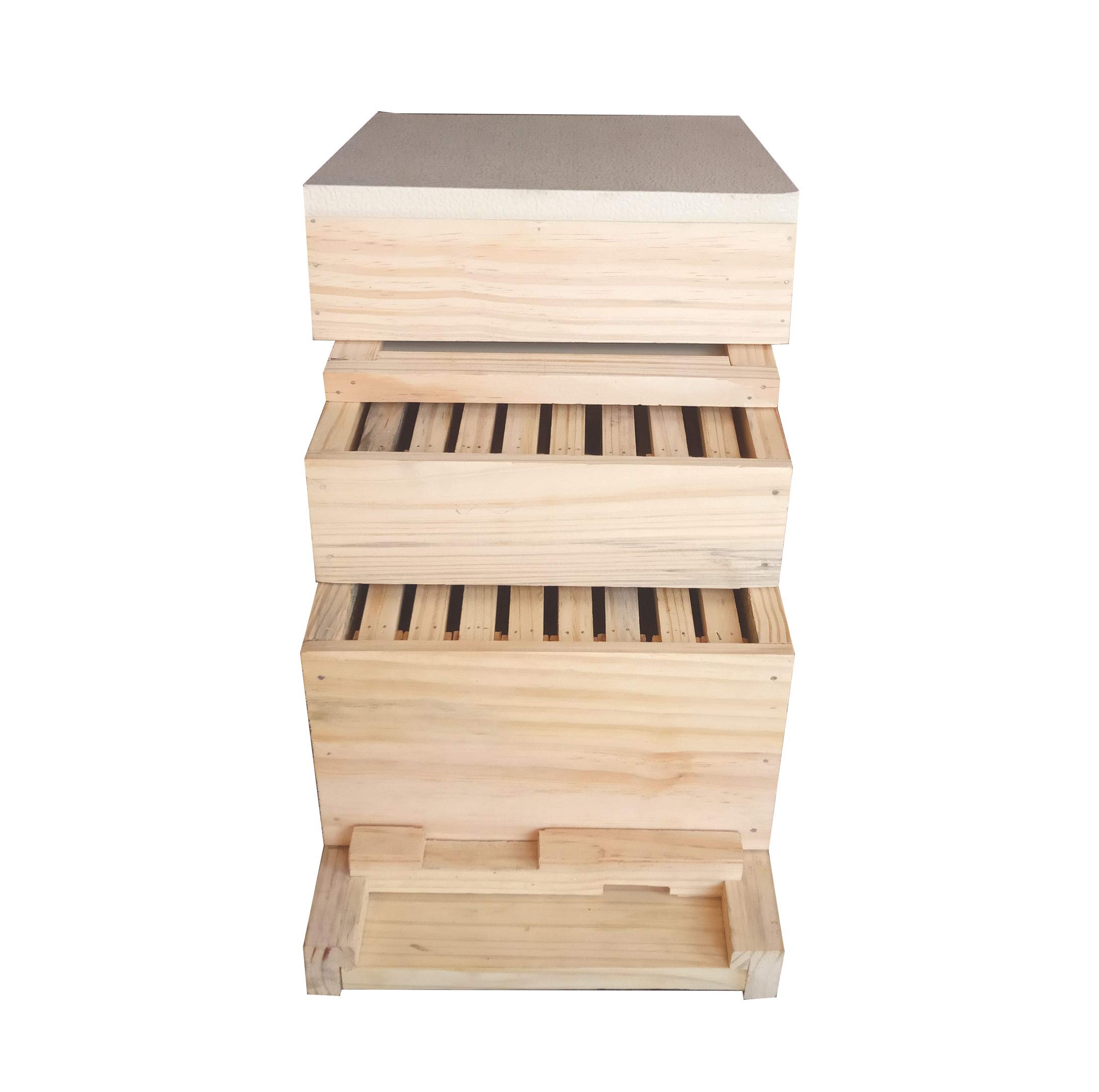 ISI Type 'A' for Apis cerana Indica Beehive Box for Beekeeping, Backyard Beekeeping