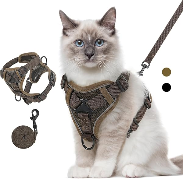 Harnais et Laisse pour Chat Ajustable
