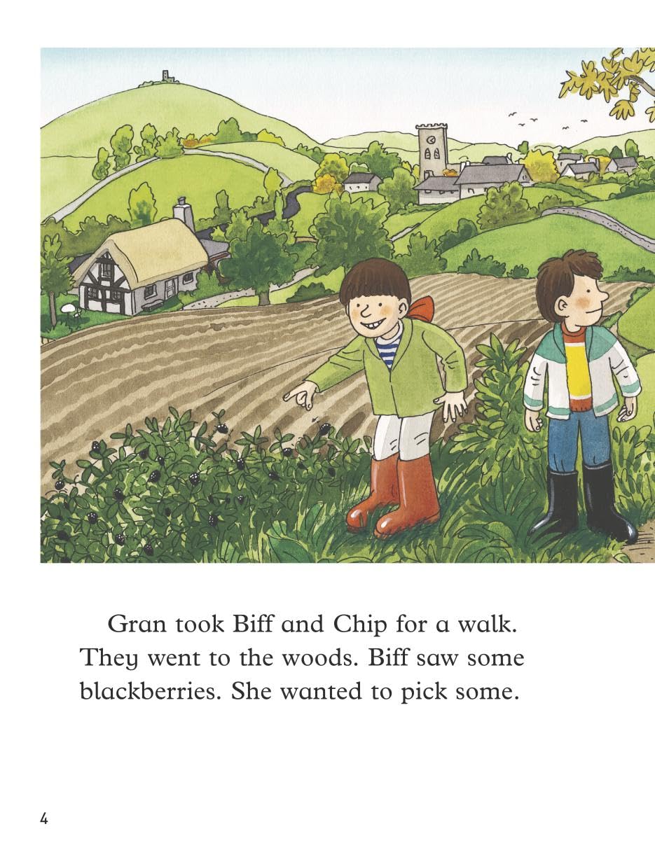 Oxford Reading Tree: Level 6: More Stories A: A Fright in the Night