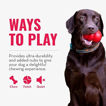 KONG Ring, Natural Rubber Chew Toy for Dental Health, for Medium/Large Dogs | KONG Natural Rubber Ring Toy That Supports Healthy Chewing Habits, Dog Dental Health & Natural Play Instincts