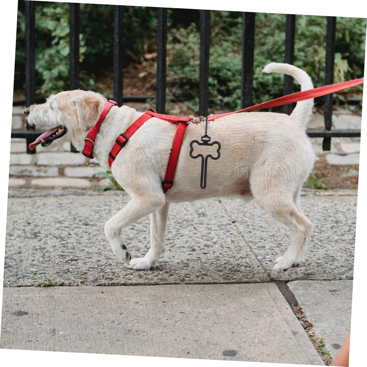 INOOMP 30 Pièces Clip pour à crottes de chien a dejection canine à dejection canine distributeur de sacs à déjections canines fourre-tout poubelle laisse de caca chiot