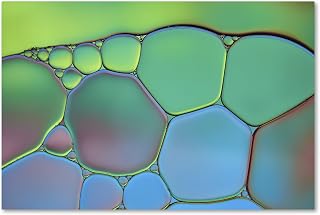 Trademark Fine Art ALI1725-C1219GG Lime Green and Blue Stained Glass by Cora Niele, 12x19-Inch, 12 in x 19 in