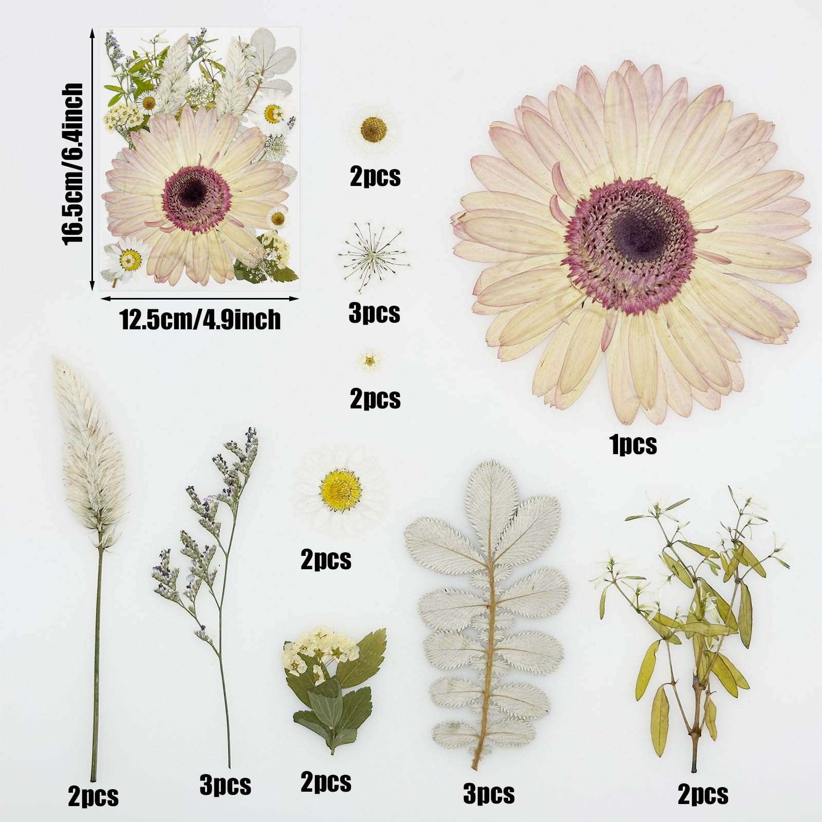 Tłoczone kwiaty, naturalne, suszone kwiaty, różowe kwiaty z żywicy, prawdziwe prasowane kwiaty do scrapbookingu, DIY, rzemiosła artystycznego, żywicy epoksydowej, artykuły jubilerskie, 44 szt
