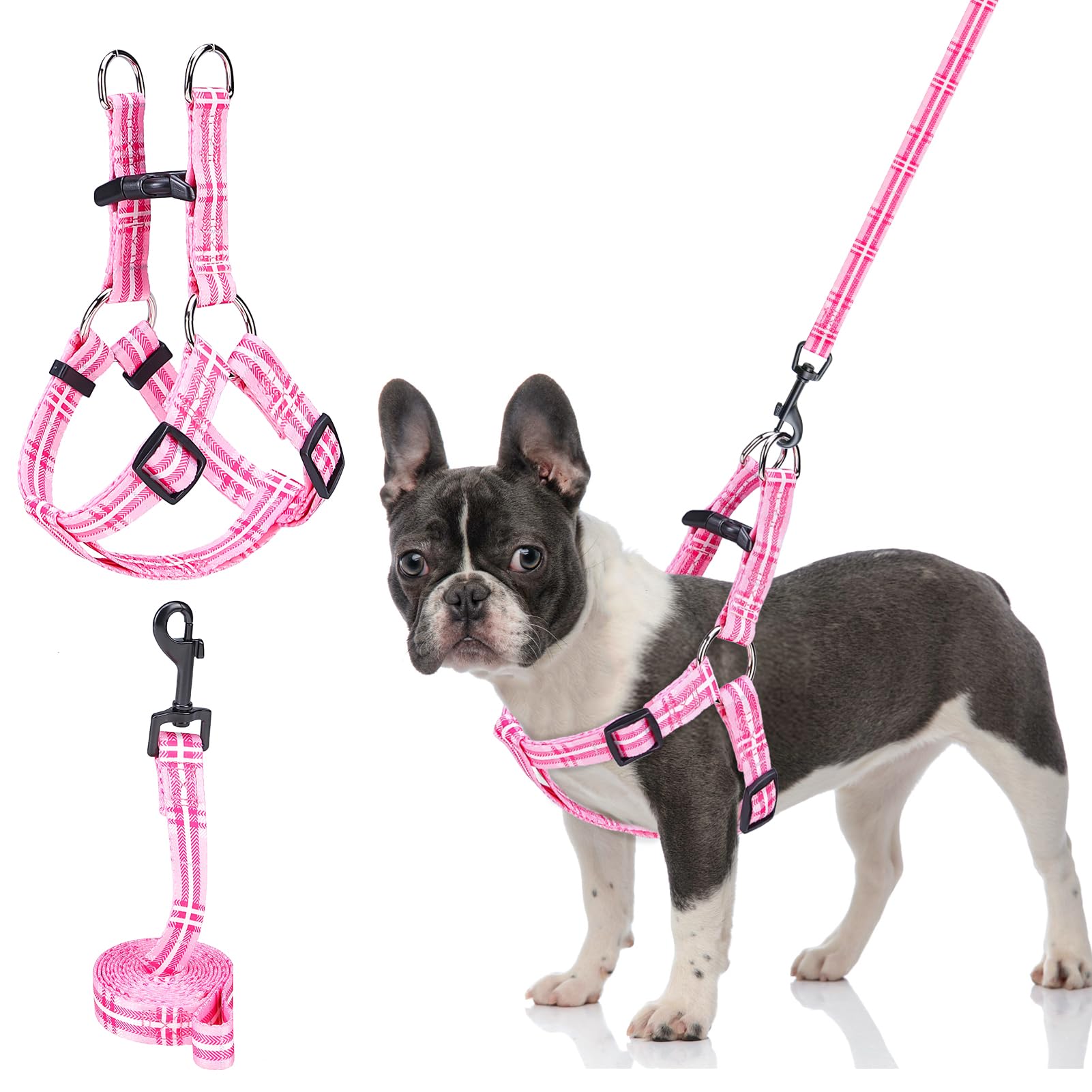 BEAUTYZOO No Pull Small Dog Harness and Leash Set, No Chock Puppy Step in Vest Harness Nylon Lightweight Neck&Chest Adjustable for Dogs Girls and Boy,