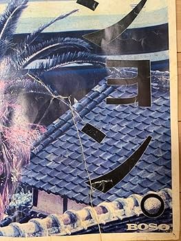 Amazon.co.jp: ポスター小沢健二 小泉今日子 NARGO JR東日本 : おもちゃ