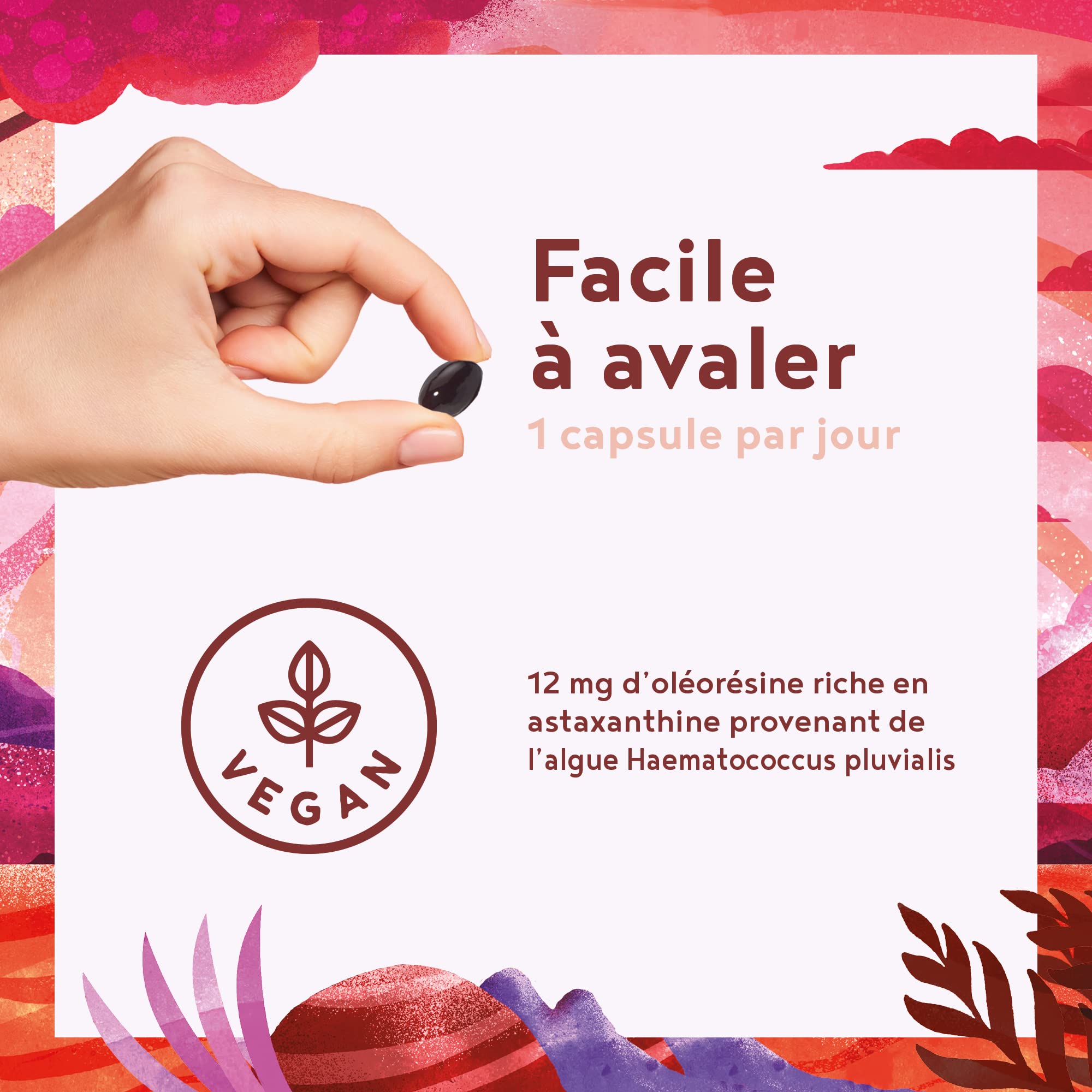 ASTAXANTHINE 12mg - De pure microalgue Haematococcus pluvialis - Biodisponibilité optimisée avec de l'huile de lin - Sans additifs, sans substances auxiliaires - 60 gélules de dépôt végétaliennes