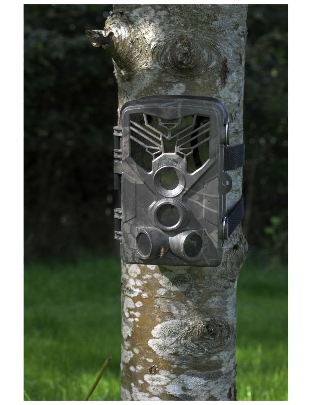 Denver WCT-8020W Wildkamera 20 Megapixel Low-Glow-LEDs Camouflage Schwarz