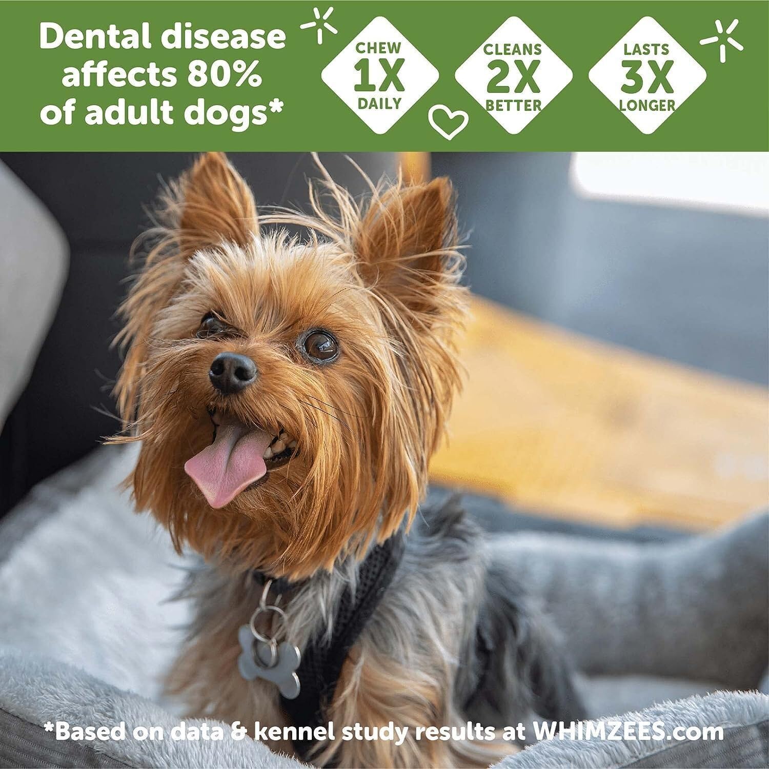 WHIMZEES X-Small Toothbrush Natural Healthy Daily Dental Dog Treats - 2 Pack