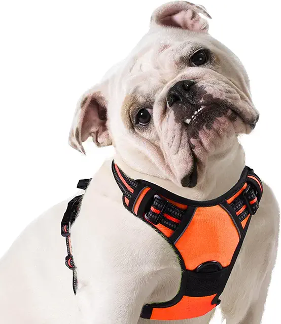 Imagen relacionada con Eagloo Arnes Perro Mediano, Arnes Antitirones Perro antiescape, Chaleco Acolchado Ajustable, Anillos de Pecho y Espalda, Material Transpirable con Cinta Reflectante, Ejercer Correr, M Naranja