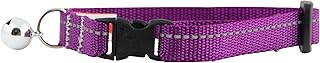 RC Pets Primary Collection Kitty Breakaway Collar, Purple