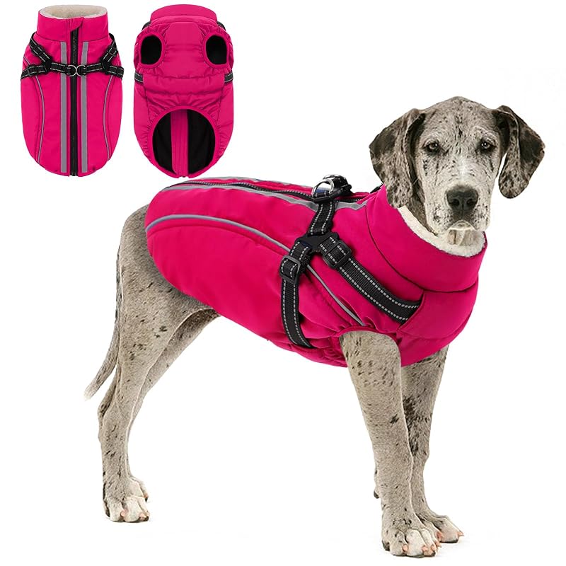 Casaco de inverno para cães com peitoral integrado KAMA BRIDAL Rose XX-Grande