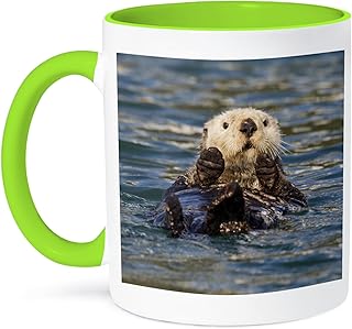 Sea Otter, Prince William Sound, Alaska, USA - US02 HRO0648 - Hugh Rose - Mug - (mug-141914-7)