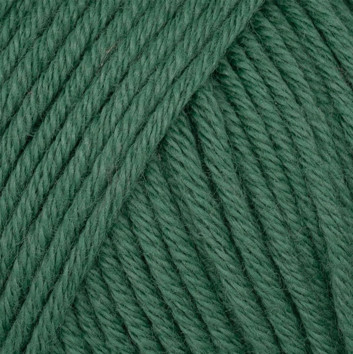 5 Ball (Pack) Gazzal Organic Baby Cotton Yarn, Total 8.8 Oz. 100% Organic Cotton, Each 1.76 Oz (50g) / 125 Yrds (115 m), 3 Light DK, Green - 427
