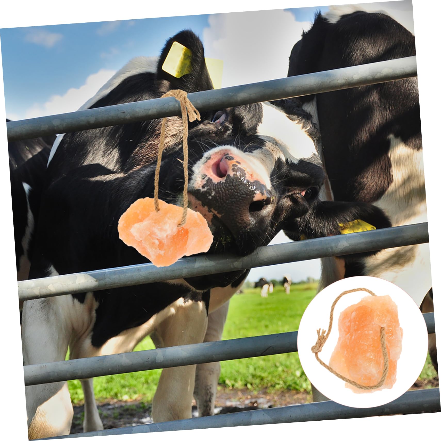 Blocco di Sale da Leccare per Bestiame Naturale 1 Pezzo | Lavorazione Fine, Facile da Sospendere, Solido, per Allevamento di Erbivori in Azienda Agricola
