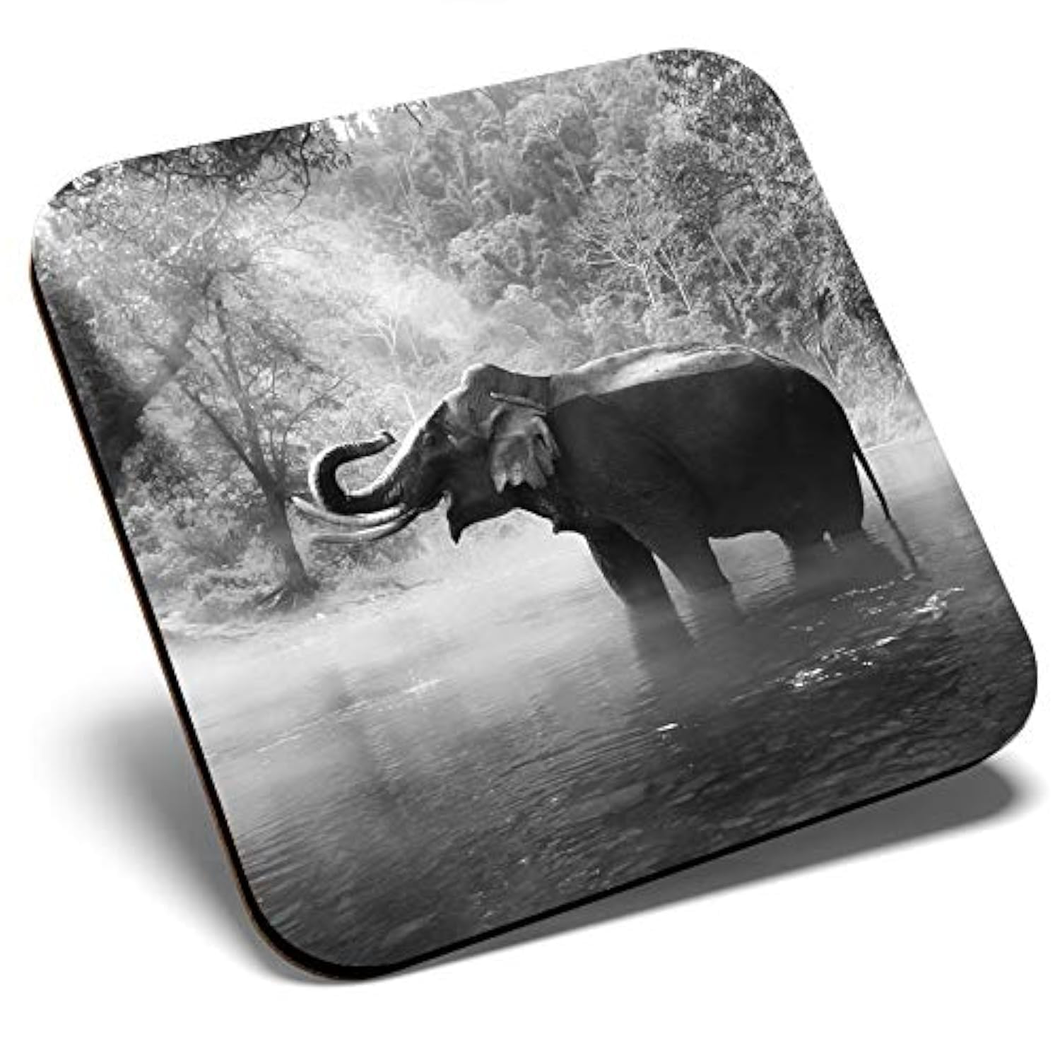 Destination Vinyl Ltd Multicolor Great Single Coaster Square Bw - Elephant Jungle Animal Forest |Glossy Quality Coasters | Tabletop Protection For Any Table Type #36428