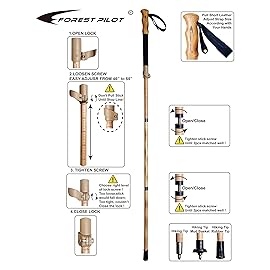 FOREST PILOT Trekking Pole- 1-pc Pack - Adjustable Hiking or Walking Stick -Strong, Natural Beech Wood - Quick Adjust Flip-Lock - Beech Wood Grip, Leather Strap (Black)