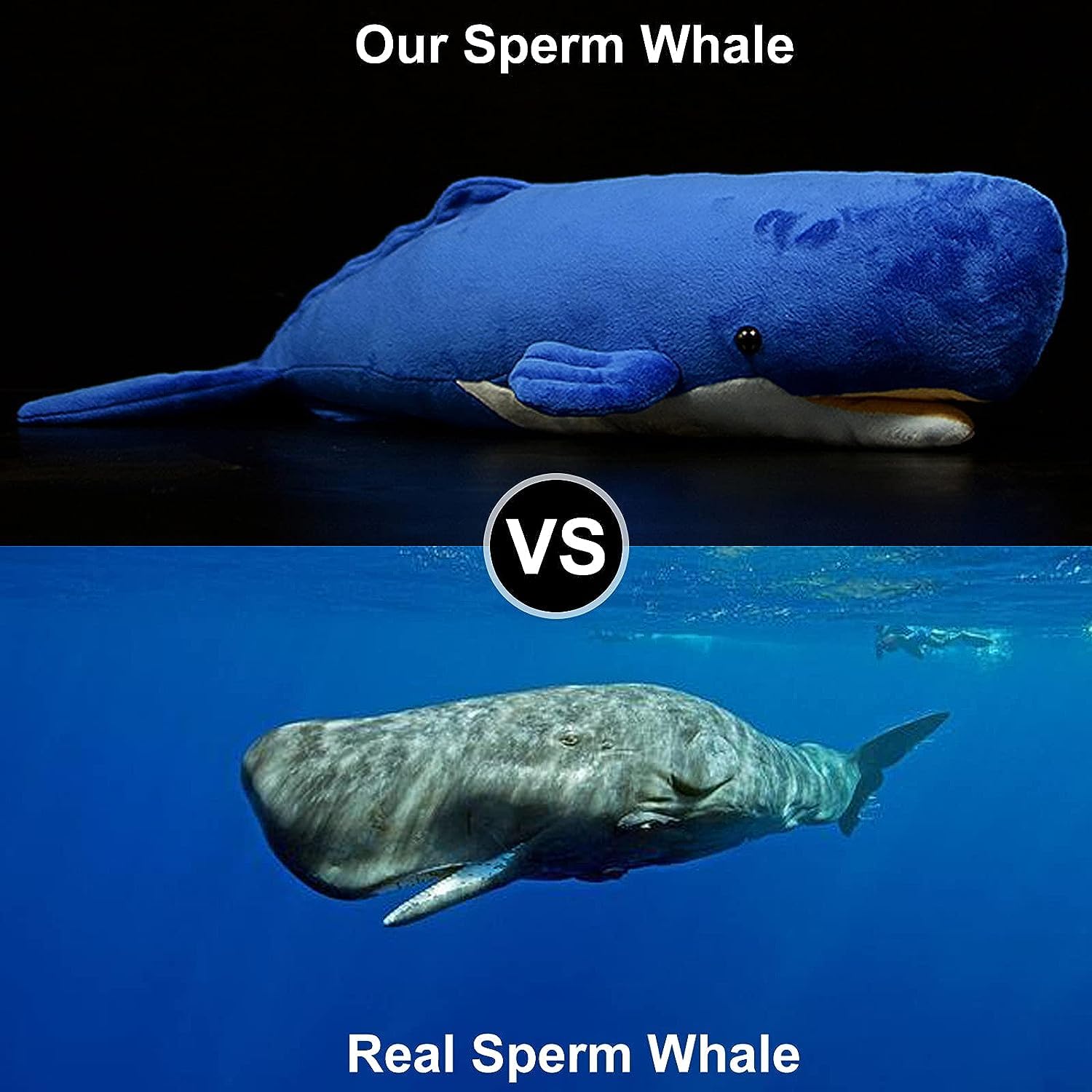 Amazon.co.jp: ZHONGXIN MADE 深海魚かわいいマッコウクジラぬいぐるみ