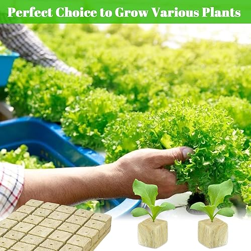 Vista 32 de Legigo Cubos de lana de roca de 2 pulgadas para iniciadores de semillas hidropónicas, cubos de plantación de lana de roca, tapones hidropónicos de 2
