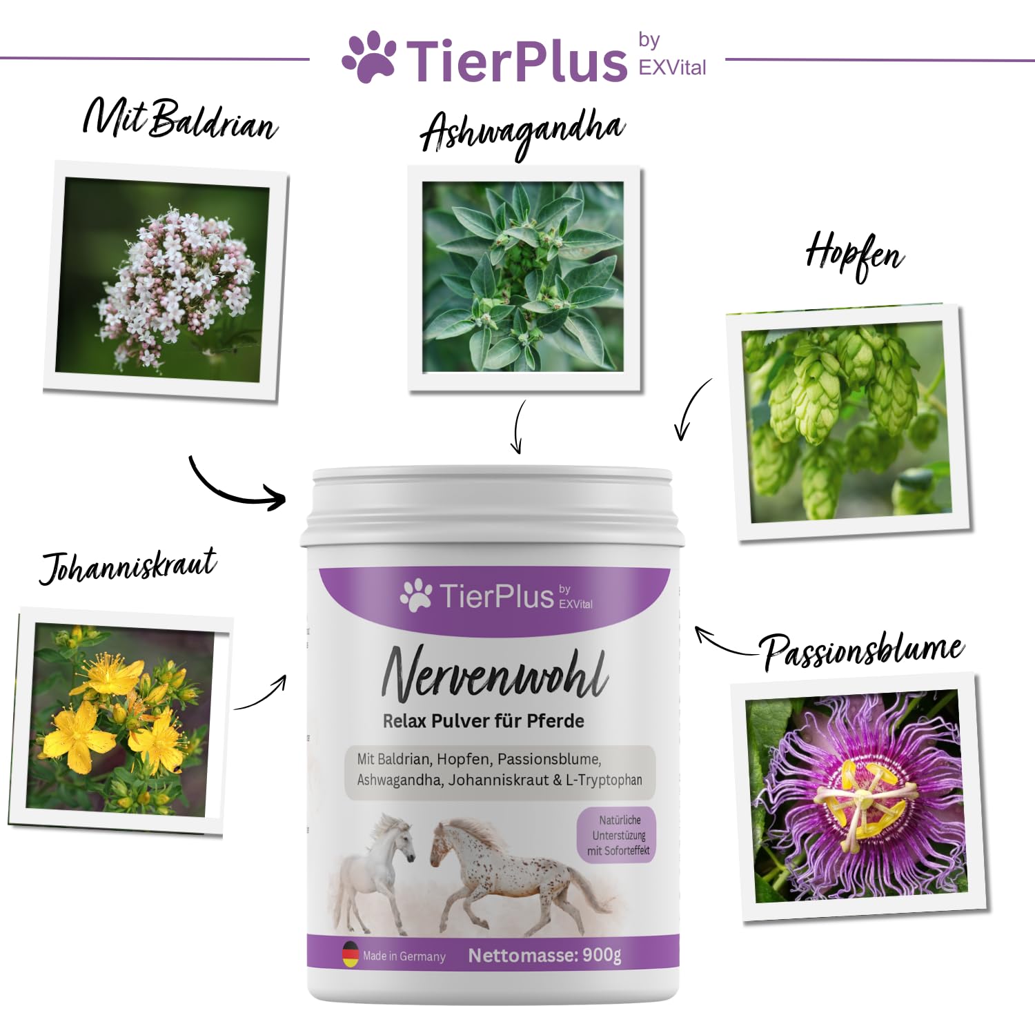 Nervenwohl Relax Pulver für Pferde, mit Mit Baldrian, Hopfen, Leinöl, Passionsblume, Ashwagandha, Johanniskraut & L-Tryptophan, 900g Dose, hochdosiert & mit Soforteffekt!