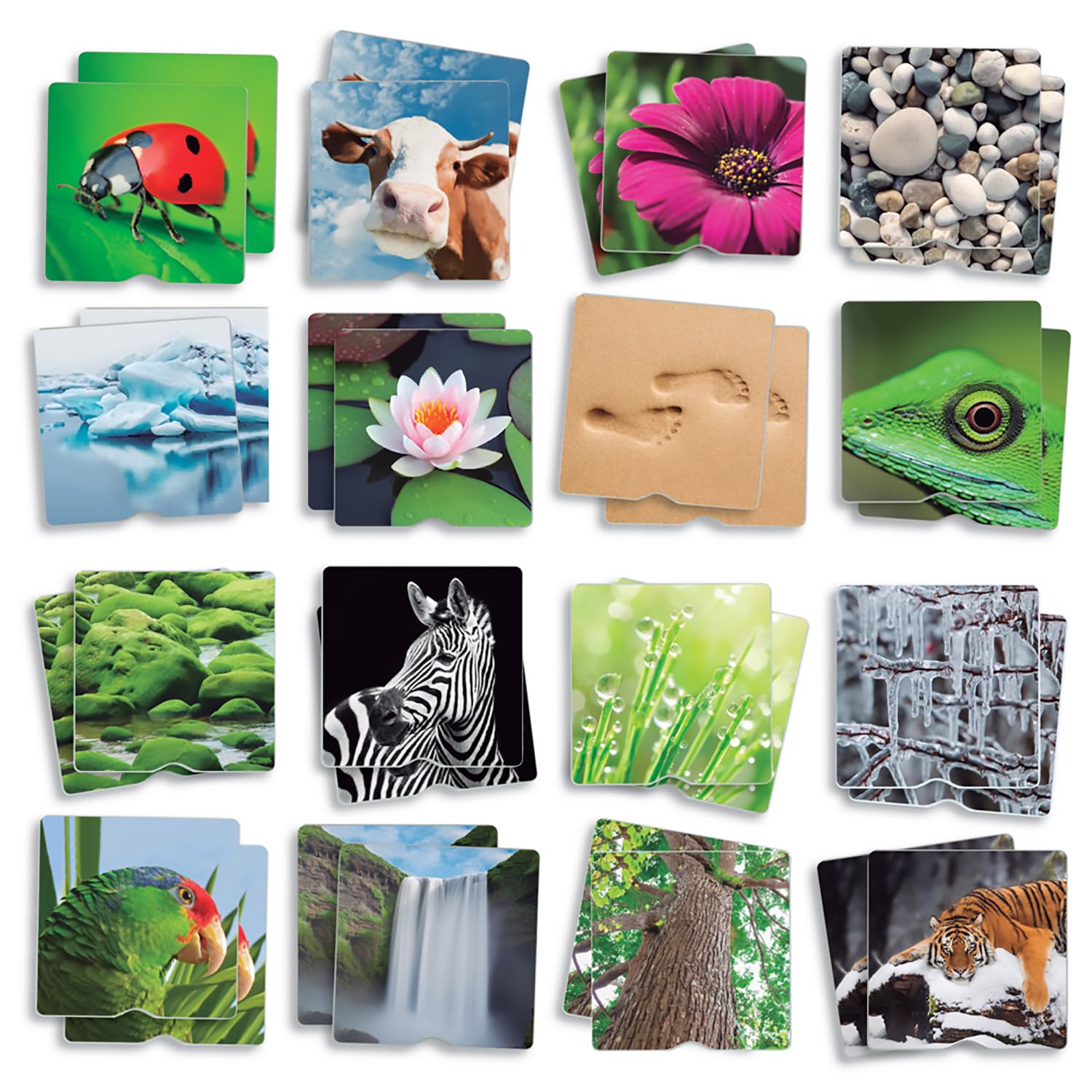 Akros (AKRP1) 20411 Akros Touch Maxi-Memory Nature The Senses, Multicolore