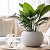 Product Photo 6