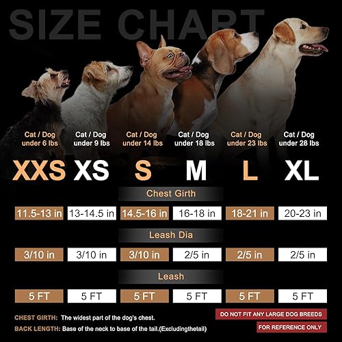 Miniatura 2 de BEAUTYZOO Juego de arnés y correa para perro, arnés reflectante para perro, sin tirones, sin estrangulamiento, para perros pequeños, medianos y
