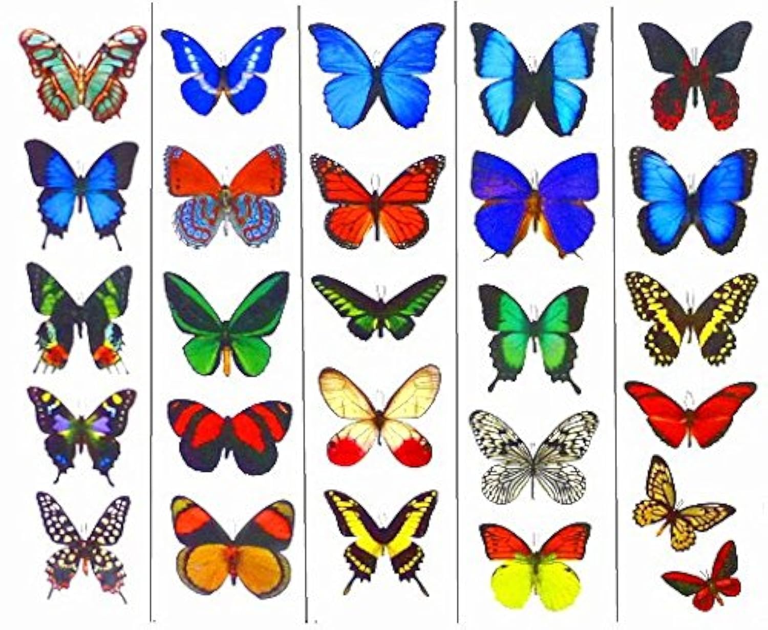 Colorful Temporary Butterfly Tattoos - 5 Sheets - by Butterfly Utopia