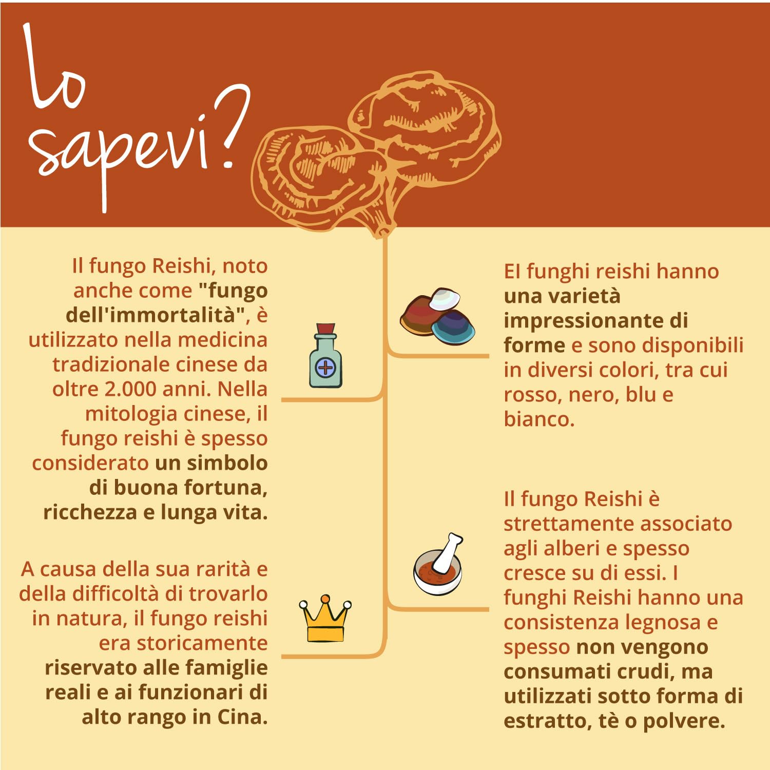 REISHI Vegavero | 27.300 mg (14:1) | con 40% Polisaccaridi + 20% Beta Glucani | Ganoderma Lucidum Puro | Analisi di Laboratorio | 120 capsule | Vegan