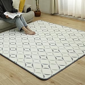 フリーリー カーペット ラグ 滑り止め付 選べる28 200×250cm 約3畳 軽量設計 超高密度マイクロファイバー生地使用 丸洗いOK オールシーズン快適に使用