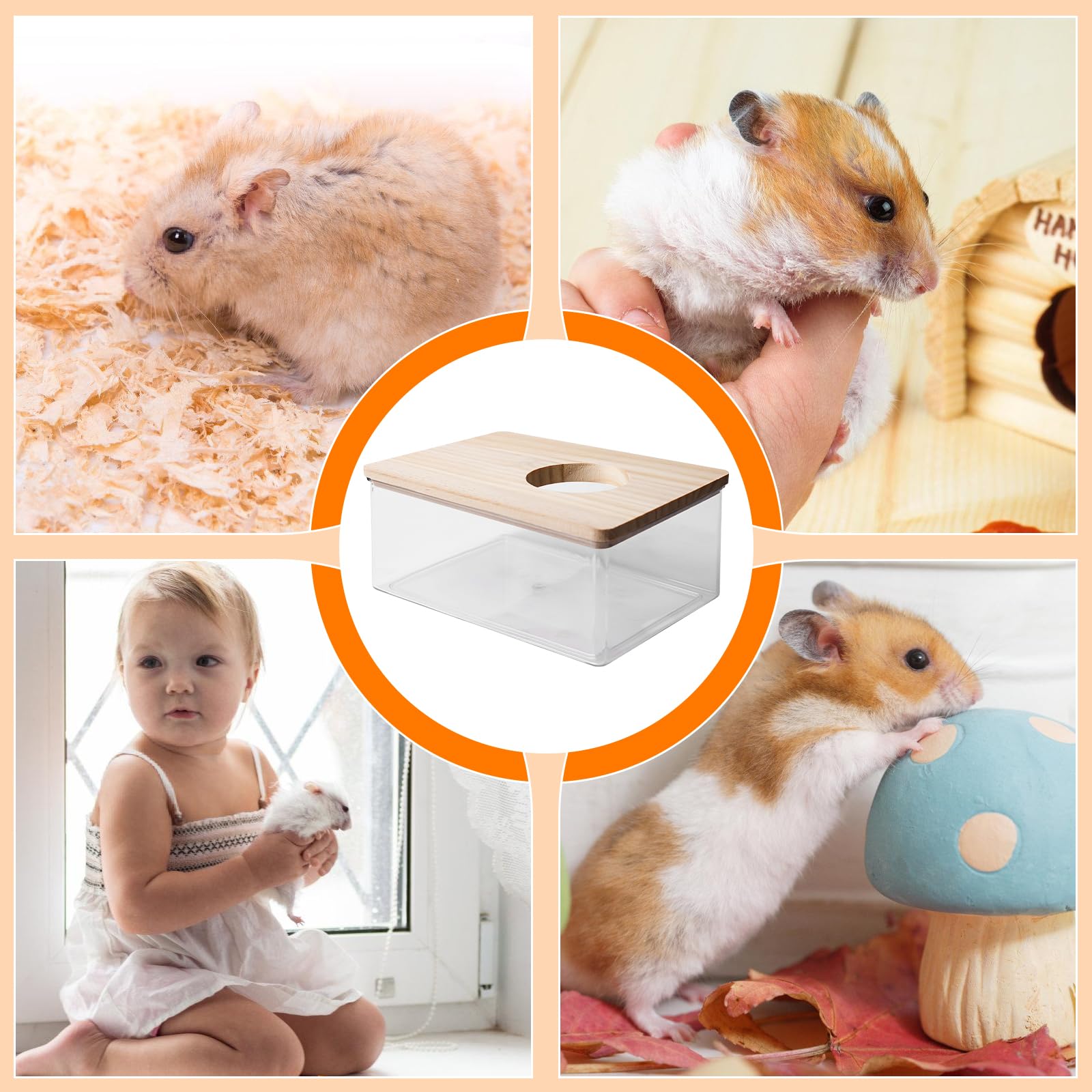 Hamster Salle de bain de sable transparent avec échelle et pelle, carré