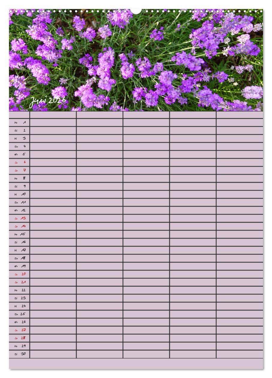 Naturzauber Lavendel - Familienplaner (hochwertiger Premium Wandkalender 2026 DIN A2 hoch), Kunstdruck in Hochglanz: Lavendel in England mit unterschiedlichen Farbnuancen. (CALVENDO Natur)