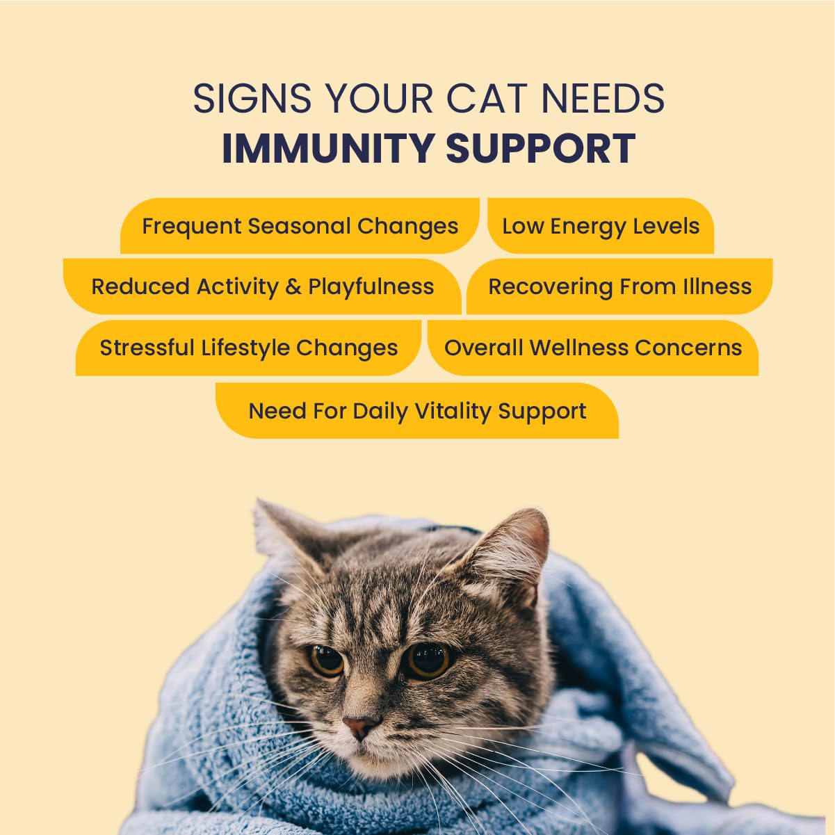 Fur Ball Story Feli Boost Liquid Immunity Supplement for Cats 100 ml | Daily Immune Support Syrup | Easy-to-Administer Cat Wellness Supplement | Supports Natural Immunity & Overall Well-Being — Amazon image 3