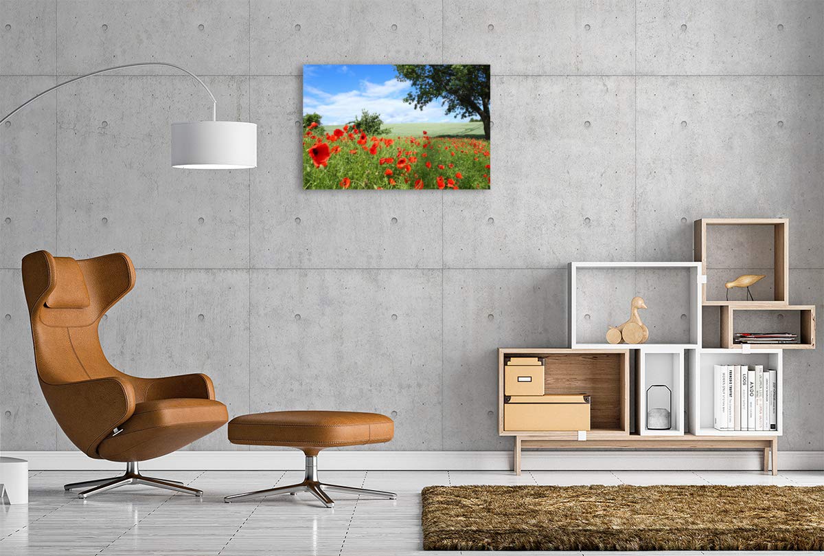 Ingrid Michel Leinwandbild Klatschmohn 90 x 60 cm Quer-Format HD-Bild auf Keilrahmen