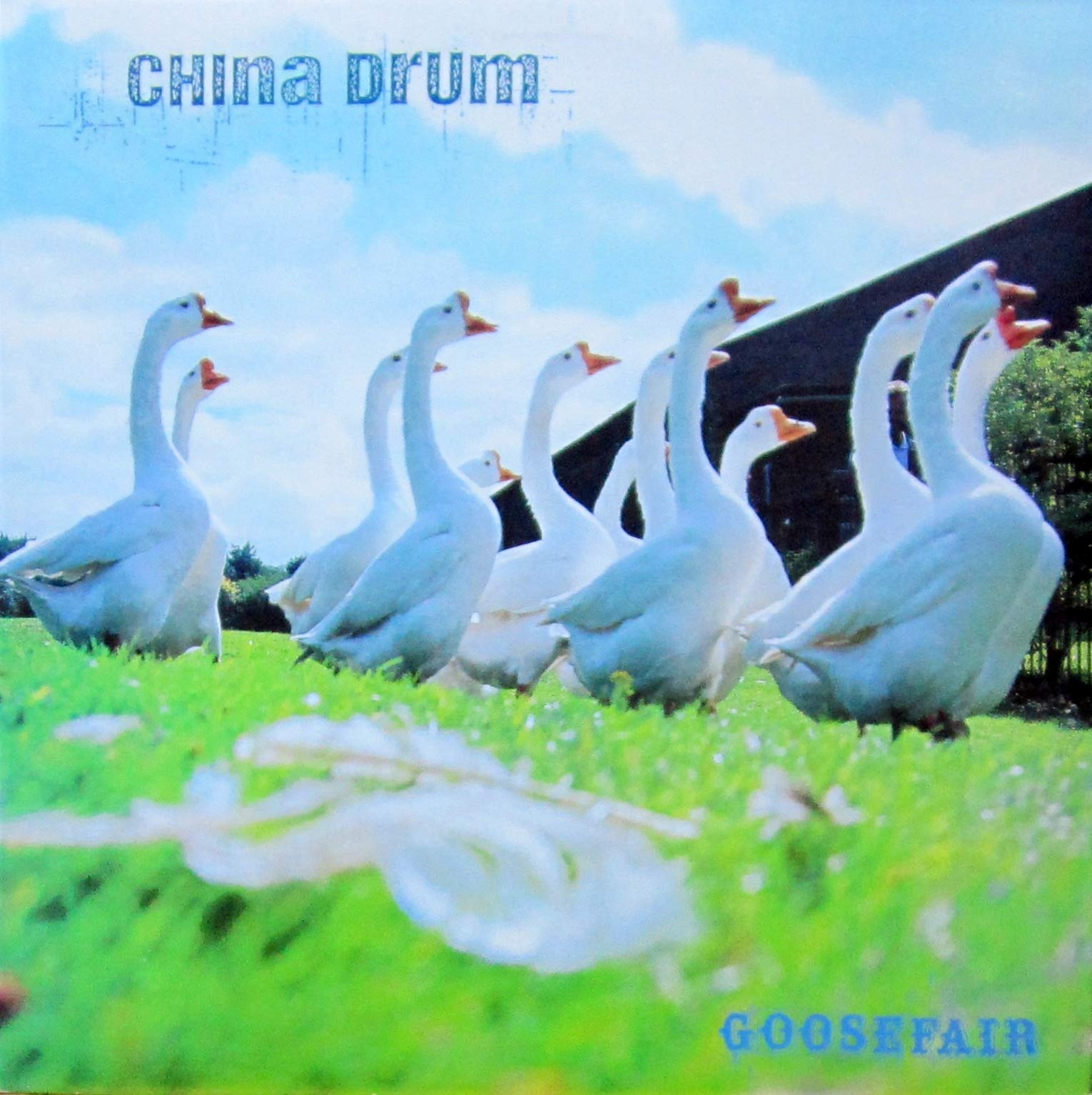 Goose Fair