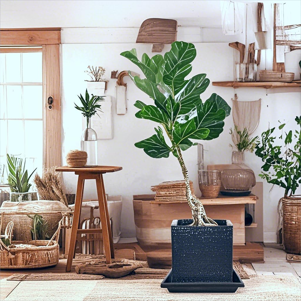Paquete de 5 platillos cuadrados para plantas de 18 pulgadas