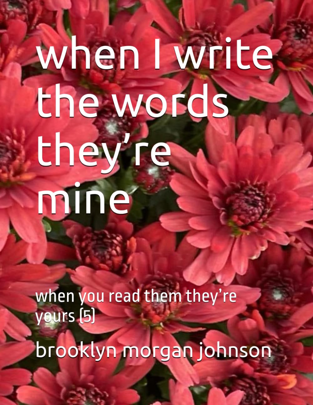 when I write the words they’re mine: when you read them they’re yours (5)