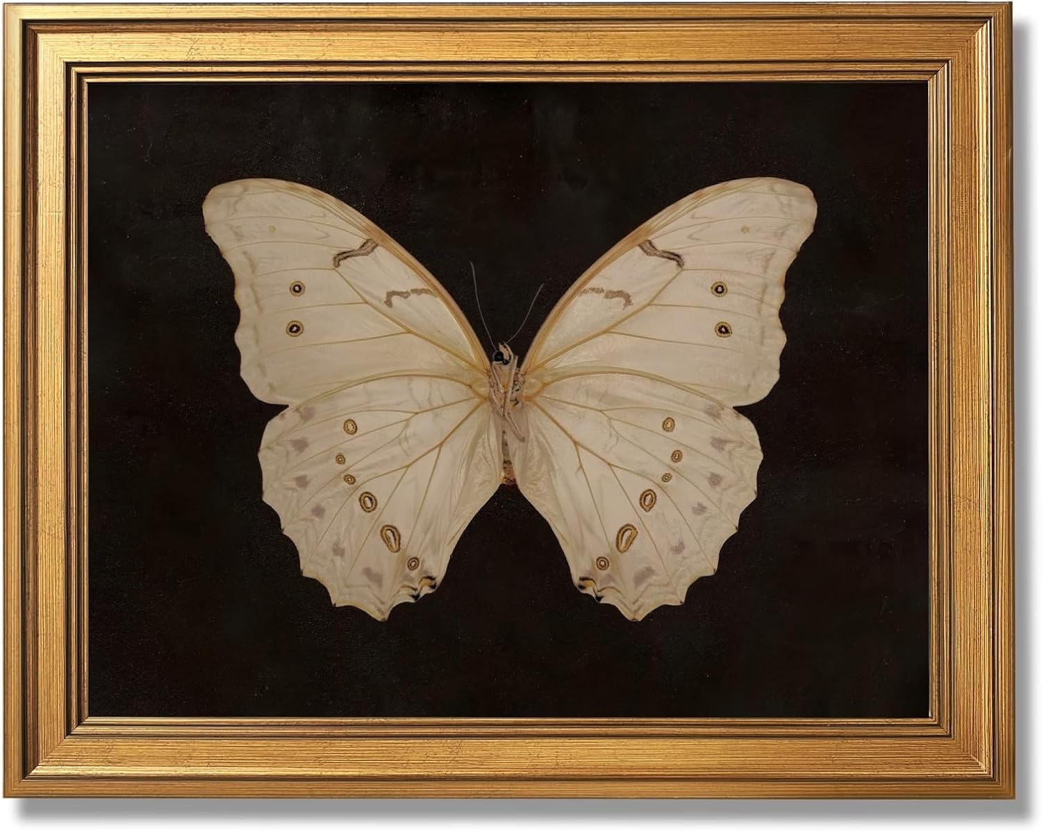 KJMVSEW Gold Framed Butterfly Wall Art Canvas Print Vintage Gothic Dark Academia Decor Victorian Aesthetic Poster Elegant Insect Illustration Artwork for Bedroom Living Room Home Decor 12X16inch