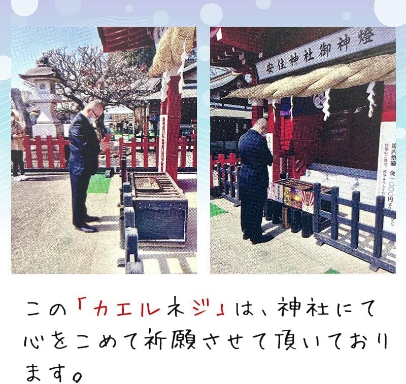 Amazon.co.jp: カエルネジ 蛙ネジ【交通安全のお守り代わりに】帰る