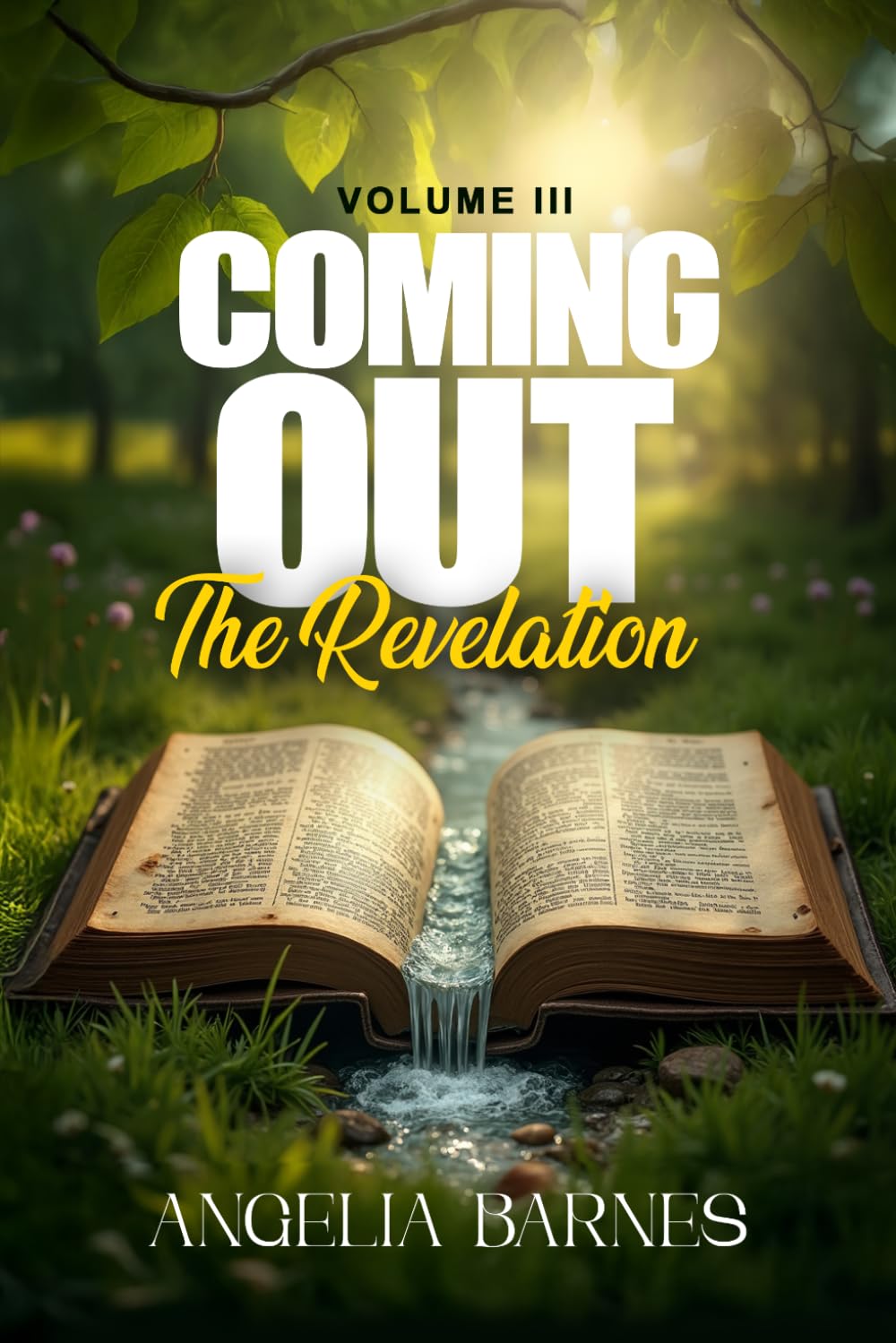 Coming Out: The Revelation: 3