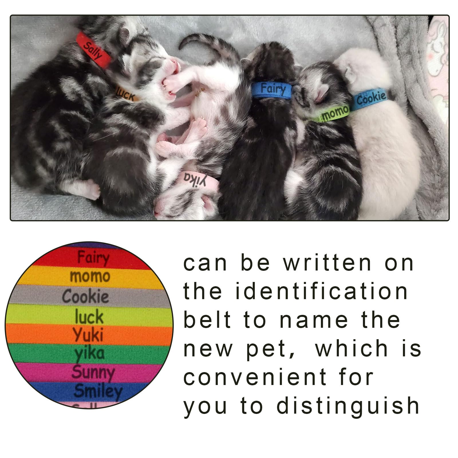 Colliers d'identification pour chiots réglables - Lot de 12 couleurs