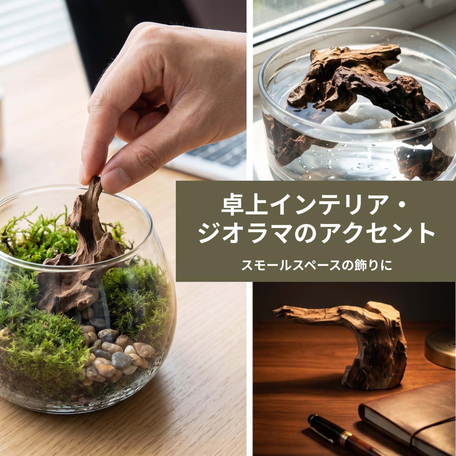 Amazon.co.jp: FytStycale あく抜き済み 流木 4〜8cm 水槽 流木 | 盆栽
