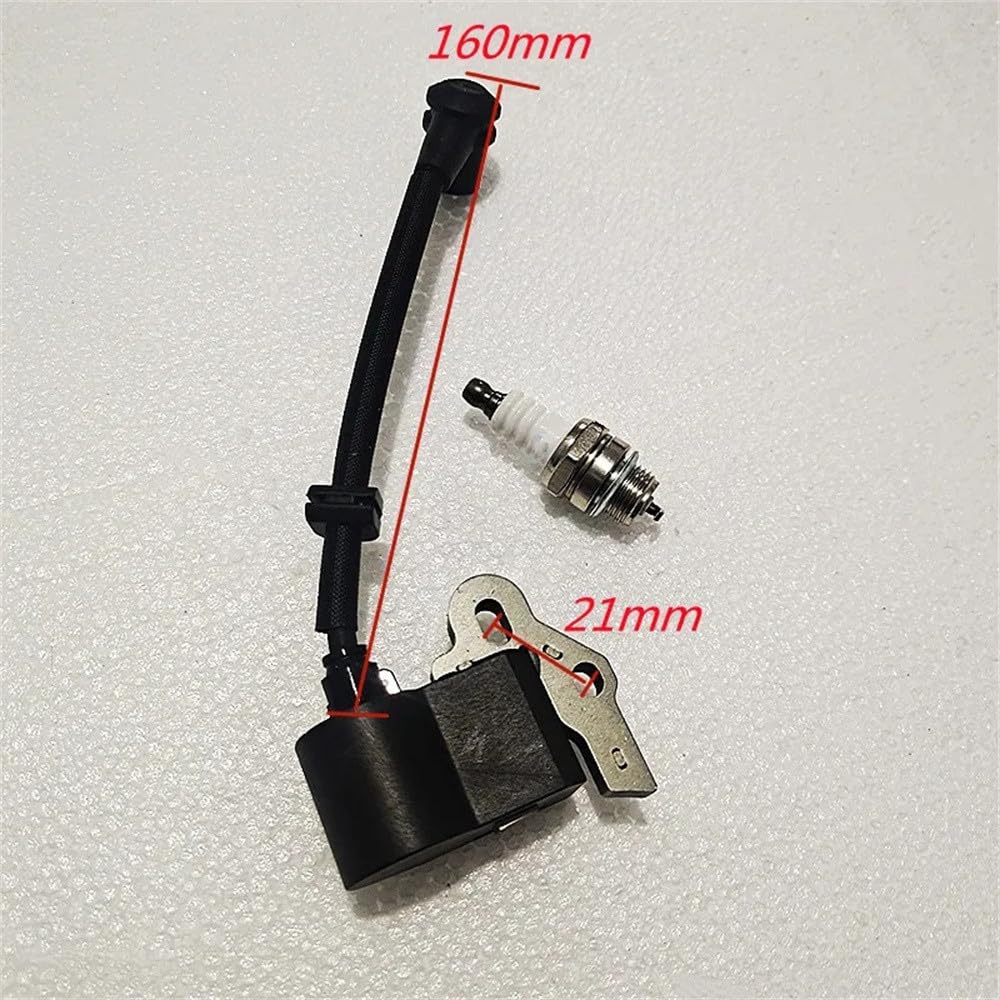 Amazon.com : Ignition Coil and Spark plug Fits for McCulloch
