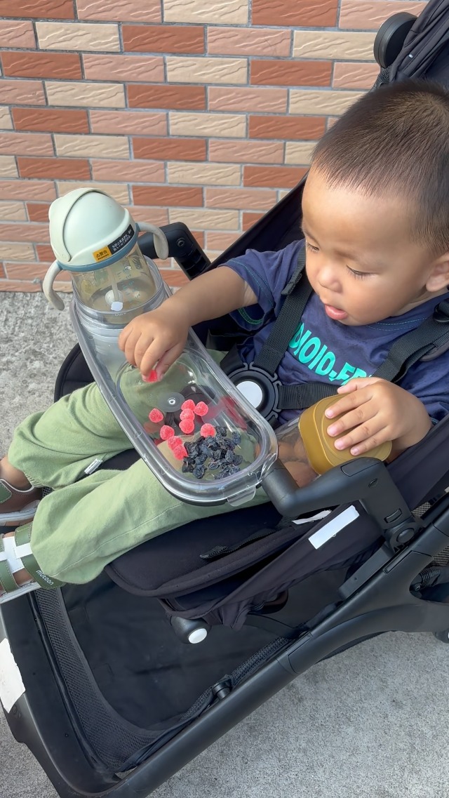 Amazon.com : Snack Tray Compatible with Bugaboo Butterfly 1 Stroller,  Transparent Tray Detachabl to Clean, Quick Install, Folds with Stroller  (NOT for Butterfly 2) : Baby