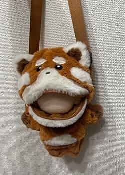 71wIzWfbbRL._AC_UF350,