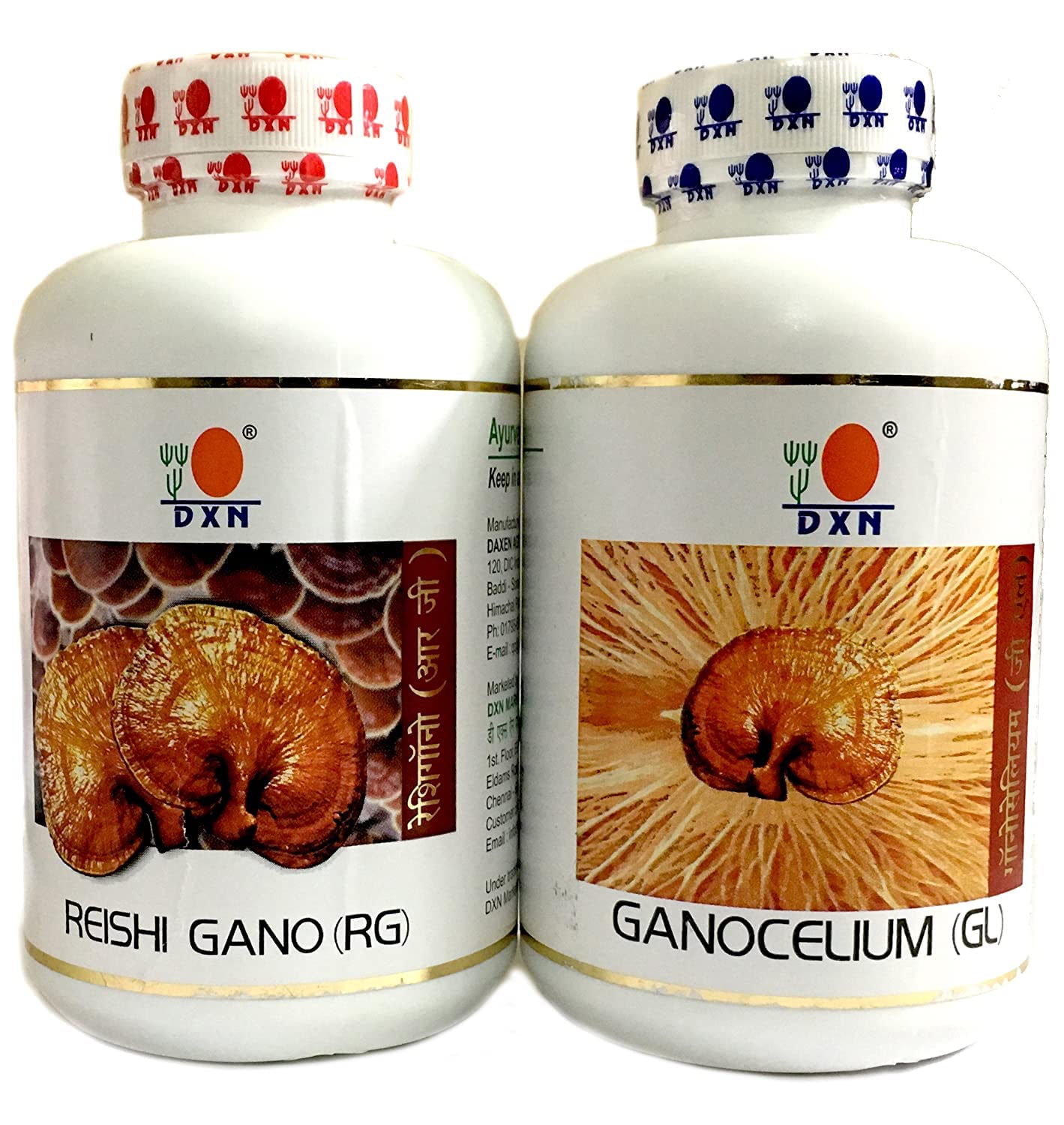 DxN Reishi Gano And Ganocelium Capsules - Rg & Gl (360 + 360 Capsules) Pack of 1 (B06XZ5CCCX) Amazon Price History, Amazon Price Tracker