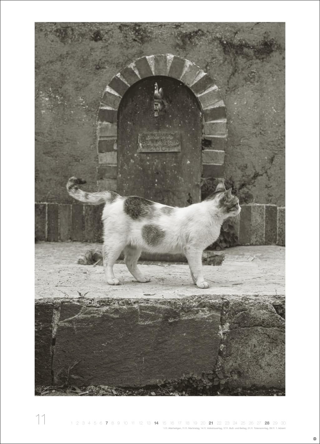Cats Edition Kalender 2027: Elegante Samtpfoten in schwarz-weiß in einem XXL-Kalender. Tierkalender 2027 im Großformat. Hochwertiger großer Fotokalender für Katzenfans.