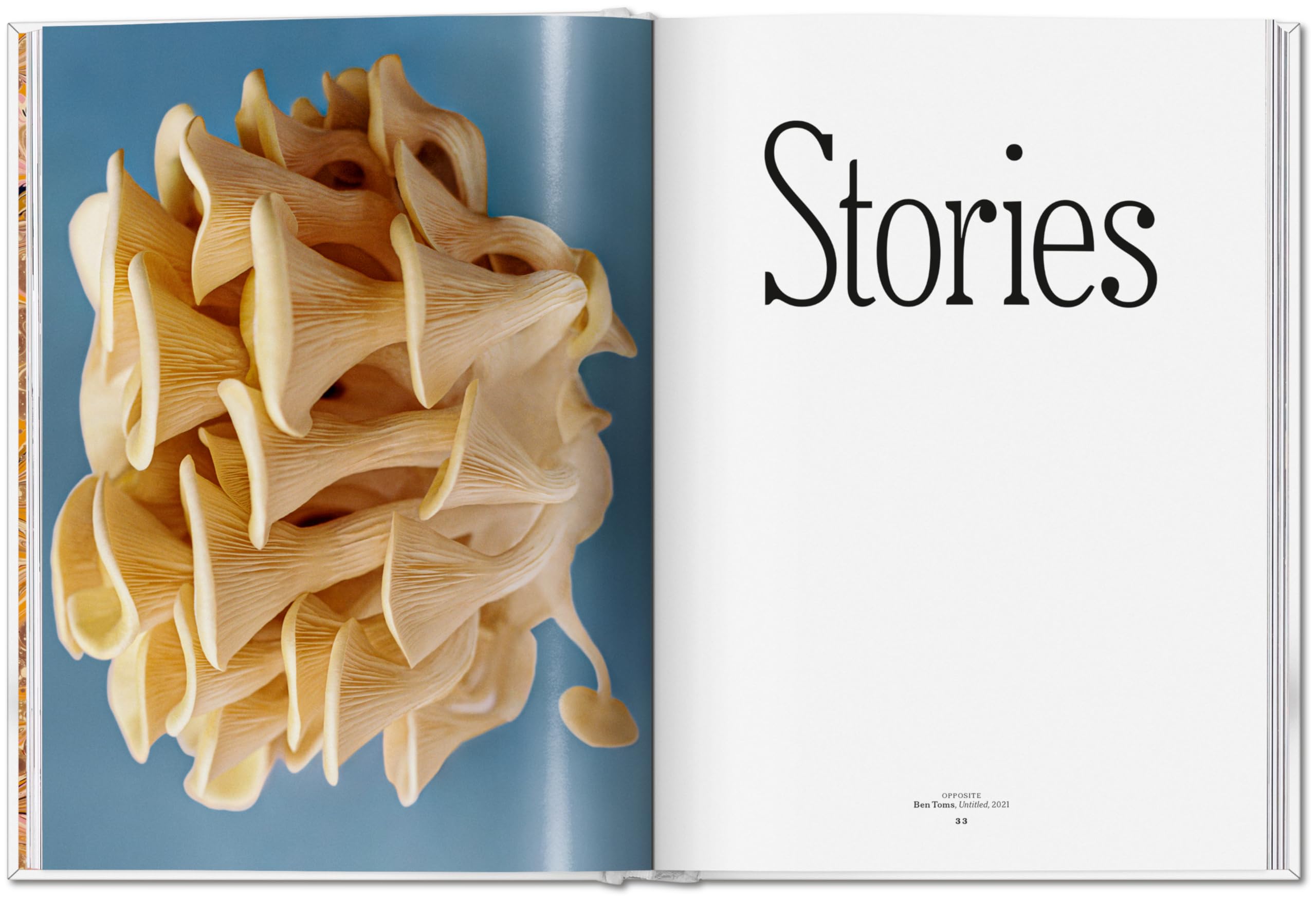 The Gourmand's Mushroom: A Collection of Stories and Recipes