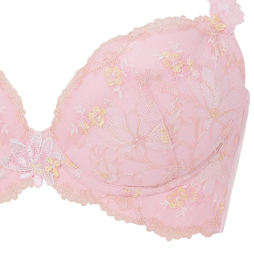 トリンプ　プレミアム レッドレーベル0090 ブラジャー E70 タグ付き新品 Triumph ブラジャー レッドレーベル バイ トリンプ0099