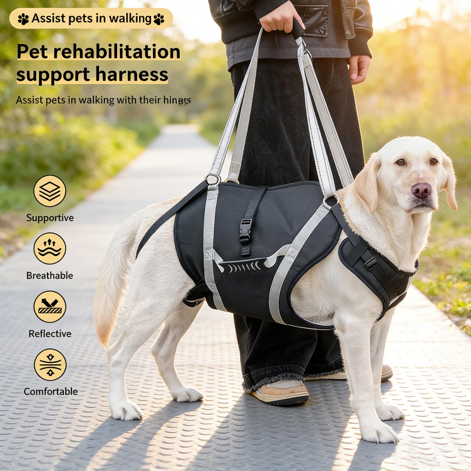 Harnais de Levage pour Chien de 20 à 40 kg, Harnais de rééducation avec poignées, Soutien Pattes Avant/arrière pour Chiens âgés, blessés et Post-opératoires